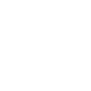 Iconografía-Ecológica Santa Nulla Logo-blanco